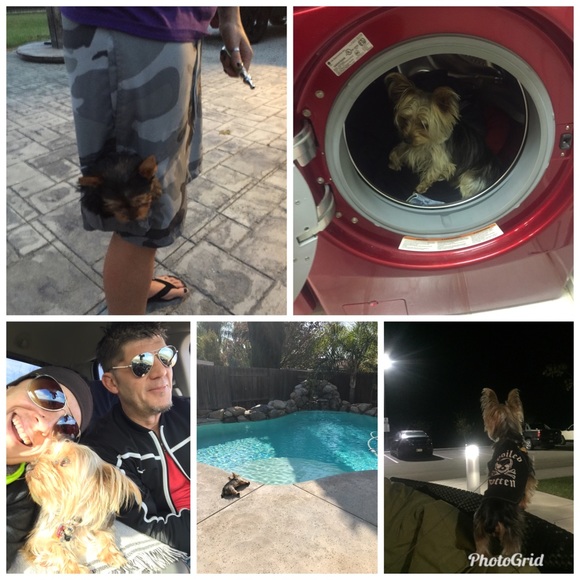 Hello fellow poshest 🛍I’m open to offers & bundle - Picture 5 of 6